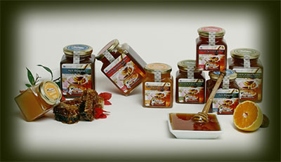 http://www.icarus.no/uploads/images/honey_general_full.jpg